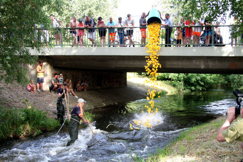 1 – Start Entenrennen.jpg