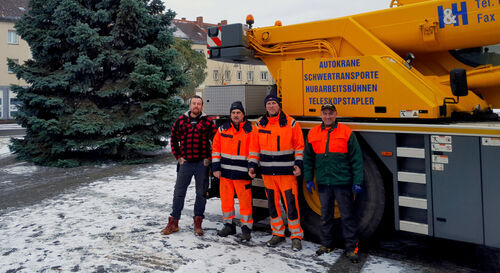 Symbolfoto: Der Weihnachtsbaum steht