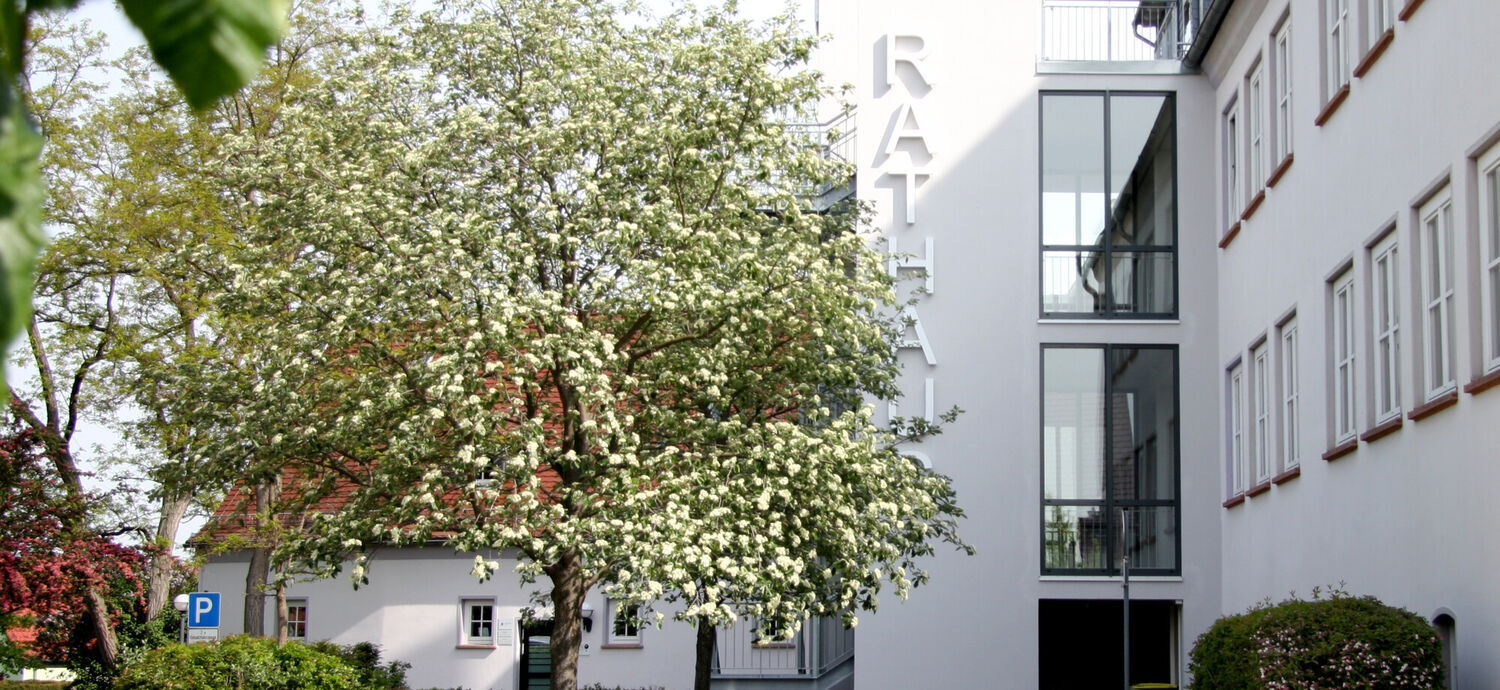 Symbolbild 1: Rathaus